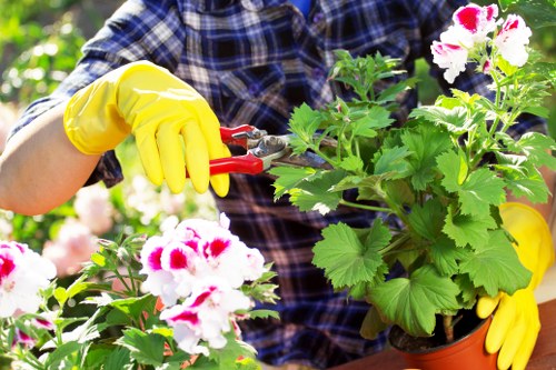 Clean patio restoration in Parsons Green garden