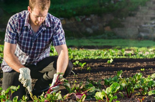 Gardening services in Parsons Green for a neat residential garden