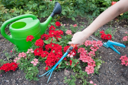 Aeration and overseeding for lawn care in Parsons Green