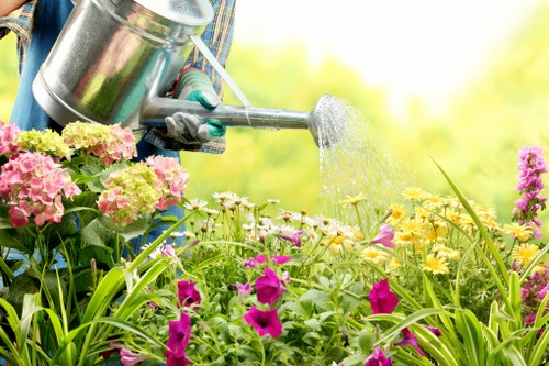 Urban garden planting ideas for Parsons Green homes