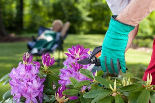 Sustainable gardening and recycling practices in Parsons Green