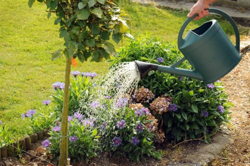 Professional lawn mowing service trimming edges