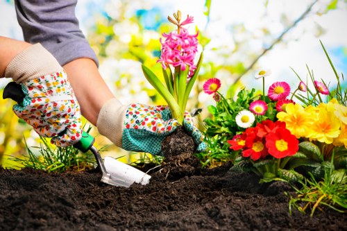 Weed control and border maintenance in a Parsons Green garden