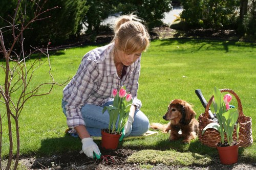 Expert hedge cutting for a tidy Parsons Green boundary