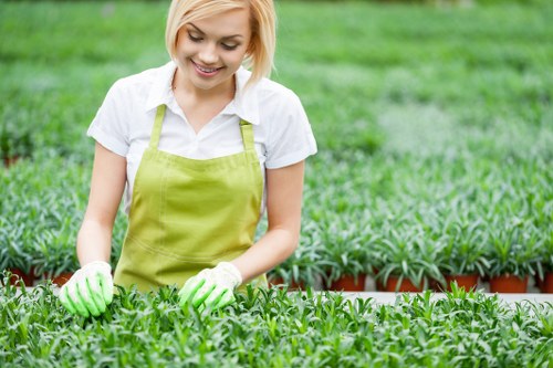 Professional garden care and pruning in Parsons Green