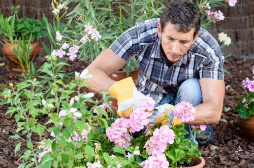 Seasonal lawn care and mowing in Parsons Green