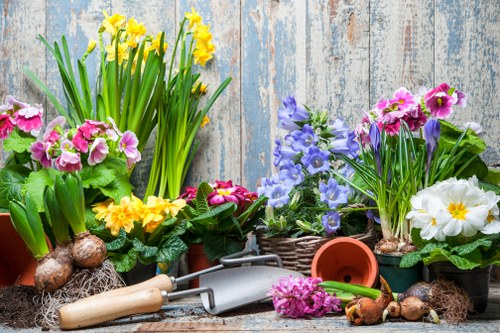 Soft landscaping and garden care in Parsons Green